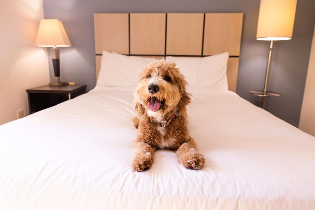 Sonesta Simply Suites Chicago Libertyville Luaran gambar